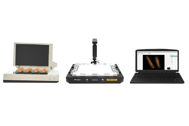 全項(xiàng)目智能考種分析系統(tǒng)TPKZ-1-GK