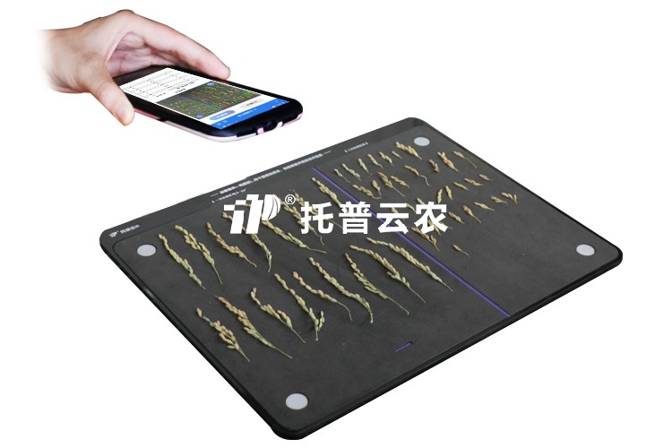 水稻整穗考種測量系統(tǒng)