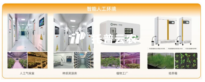 托普云農(nóng)以AI賦能全產(chǎn)業(yè)鏈，為種業(yè)振興注入“芯”動(dòng)力